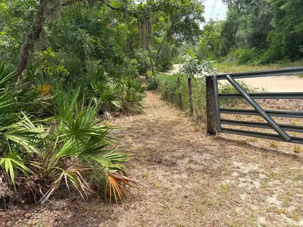 0 MILLSTREAM DR, Groveland, FL 34736