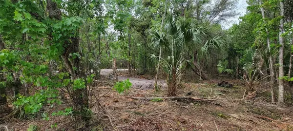 0 N POINCIANA BLVD, Kissimmee, FL 34746