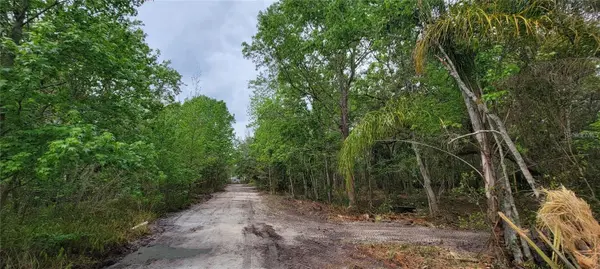 0 N POINCIANA BLVD, Kissimmee, FL 34746