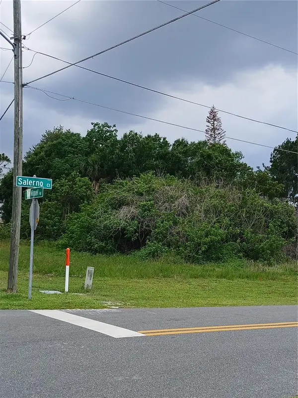 900 SALERNO CT, Kissimmee, FL 34758