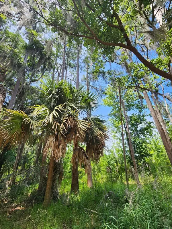 16950 ARROWHEAD BLVD, Winter Garden, FL 34787