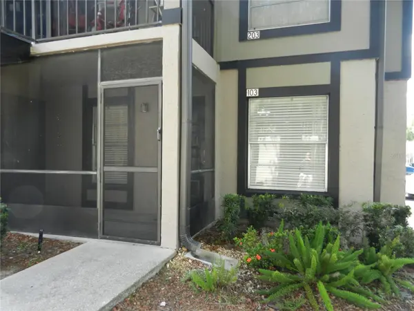 4013 DREAM OAK PL #103, Tampa, FL 33613