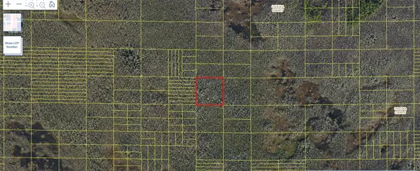 HOLOPAW GROVES RD #Lot 99 & 100, St Cloud, FL 34773