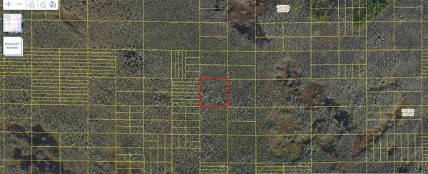 HOLOPAW GROVES RD #Lot 99 & 100, St Cloud, FL 34773