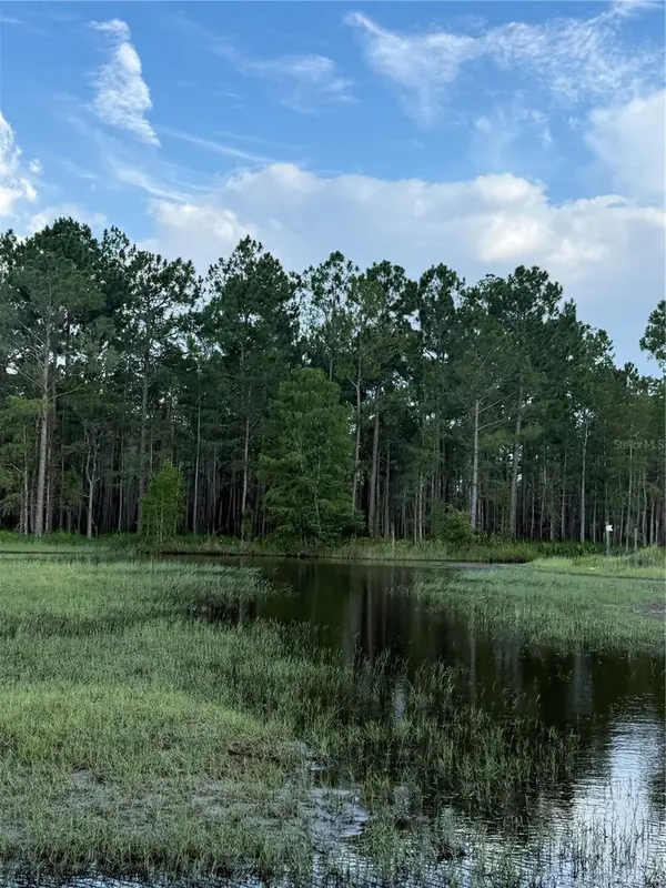 HOLOPAW GROVES RD #Lot 99 & 100, St Cloud, FL 34773
