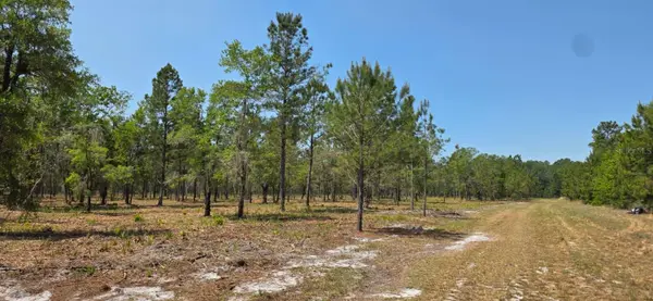 10434 SE 225TH DR, Hawthorne, FL 32640