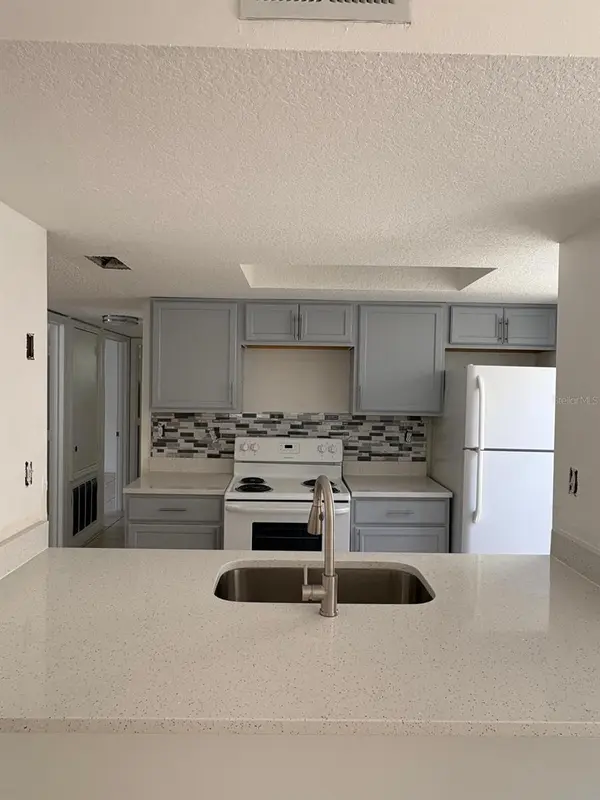 2803 FOX SQUIRREL, Kissimmee, FL 34741