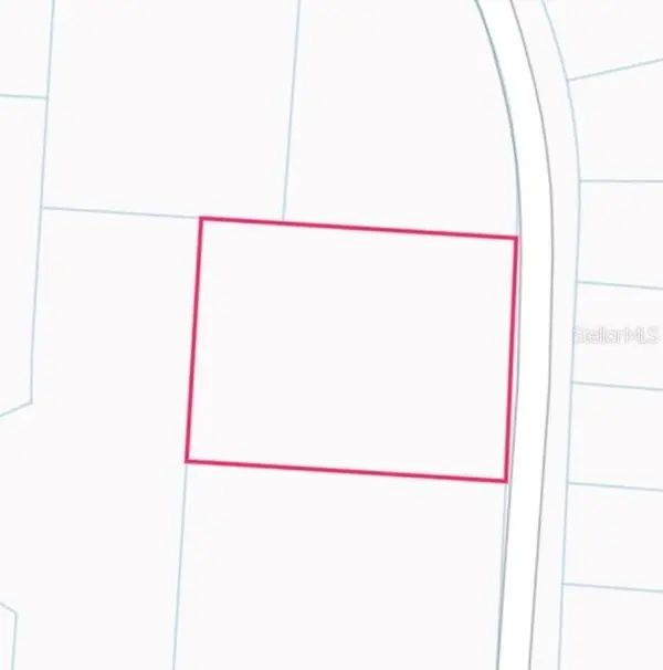 34253 BERRYHILL DR, Webster, FL 33597