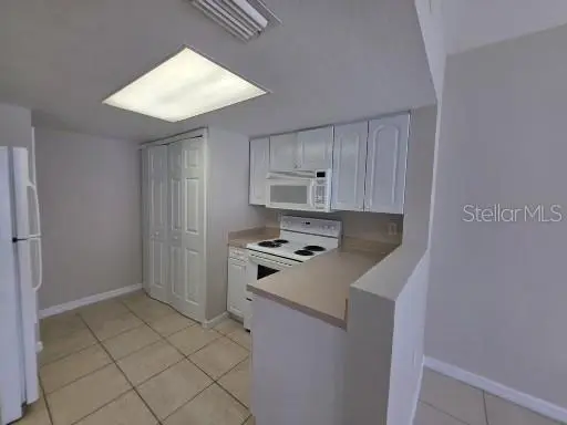 2419 FAN PALM DR, Davenport, FL 33897