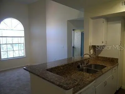 413 FOUNTAINHEAD CIR #231, Kissimmee, FL 34741