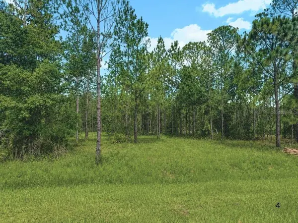 3250 PLUMOSA DR, Indian Lake Estates, FL 33855