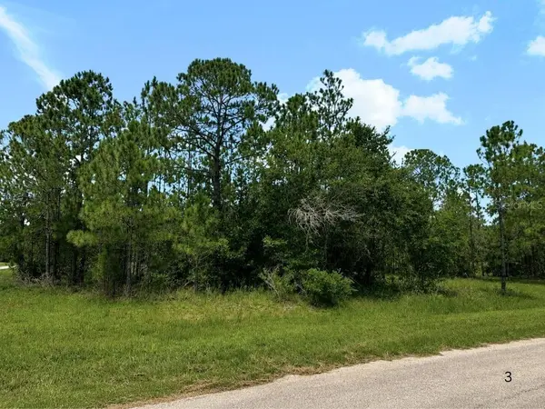 3250 PLUMOSA DR, Indian Lake Estates, FL 33855