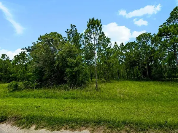 3250 PLUMOSA DR, Indian Lake Estates, FL 33855