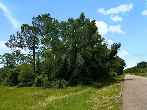 Blk 254 Lot 7 EL DORADO DR, Indian Lake Estates, FL 33855