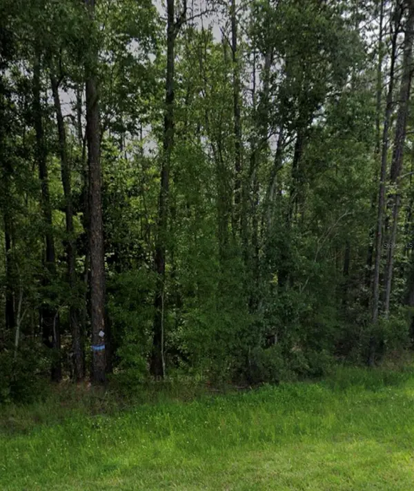 TBD NE NE 6TH AVE, Lawtey, FL 32058