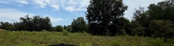 TBD SOUTHWEST 109TH PL, Dunnellon, FL 34432