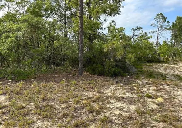 2923 W PINTADO DR, Citrus Springs, FL 34433