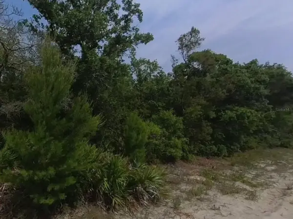 0 RIEGEL (PAPER) AVE, Orange City, FL 32763