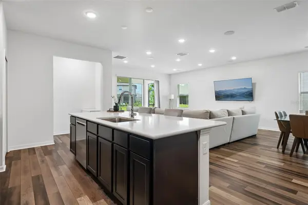 11225 JUNE BRIAR LOOP, San Antonio, FL 33576