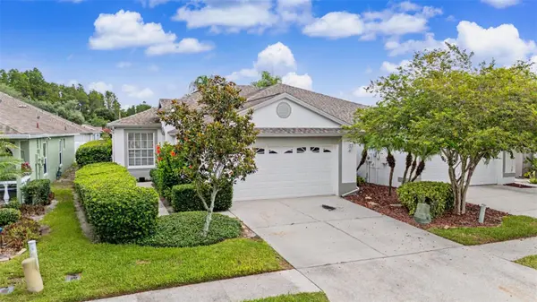 19309 WEYMOUTH DR, Land O Lakes, FL 34638