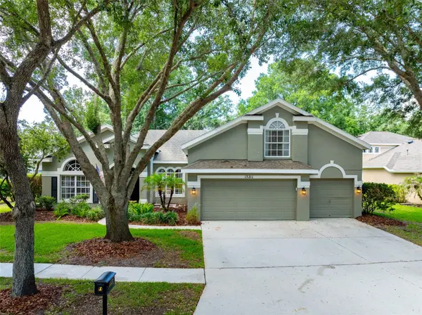 15211 MERLINGLEN PL, Lithia, FL 33547