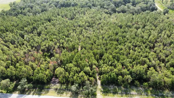 NE HWY 353, Old Town, FL 32680