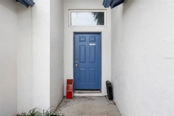 11019 CONNACHT WAY, Tampa, FL 33610