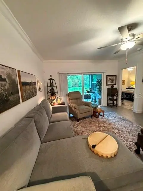 16919 FORGE SURF ST, Land O Lakes, FL 34638
