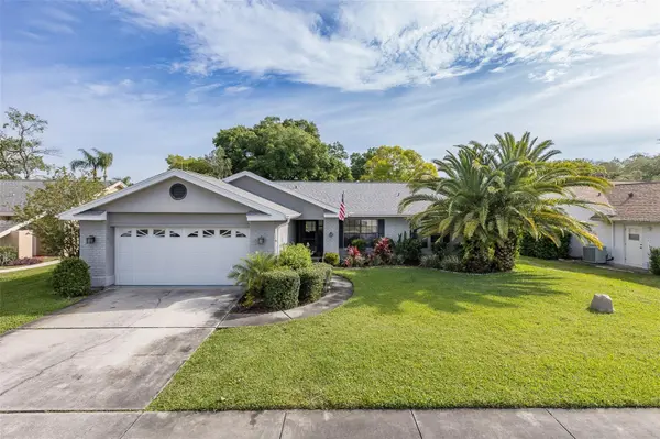 13316 BRIGHAM LN, Hudson, FL 34667