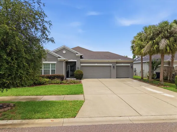 17735 BRIGHT WHEAT DR, Lithia, FL 33547
