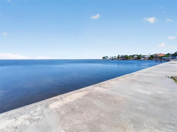 621 N MAYO ST, Crystal Beach, FL 34681