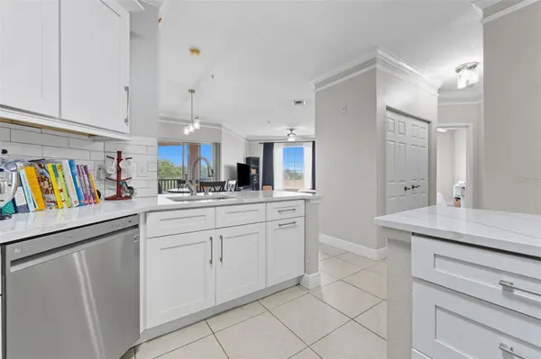 4333 BAYSIDE VILLAGE DR #304, Tampa, FL 33615