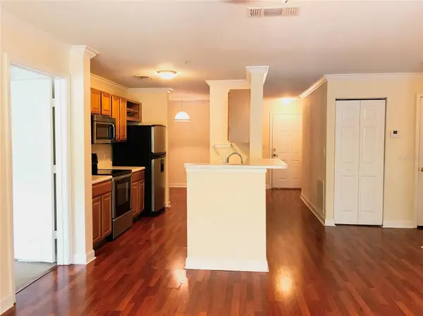 18557 BRIDLE CLUB DR #18557, Tampa, FL 33647