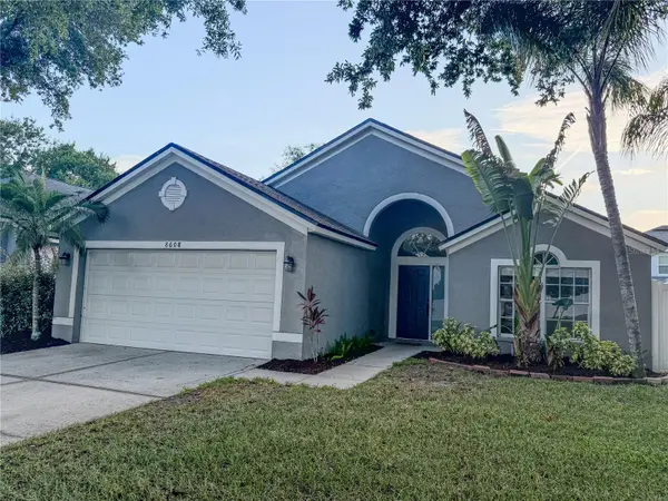 8608 FAWN CREEK DR, Tampa, FL 33626