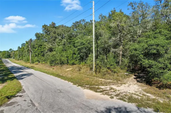 10562 N ADLER DR, Citrus Springs, FL 34434
