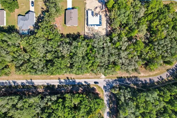 10562 N ADLER DR, Citrus Springs, FL 34434
