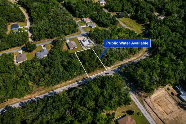 10562 N ADLER DR, Citrus Springs, FL 34434