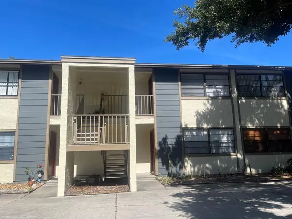 4809 S MOUND AVE #105, Tampa, FL 33611