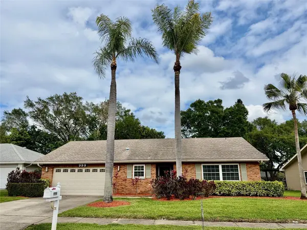 999 GILLESPIE DR, Palm Harbor, FL 34684