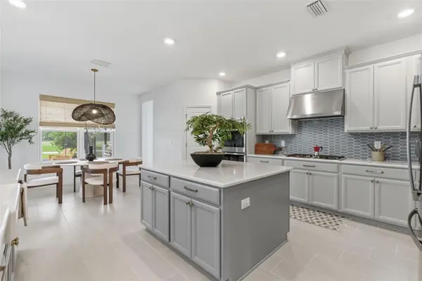 33774 CASTAWAY LOOP, Wesley Chapel, FL 33543