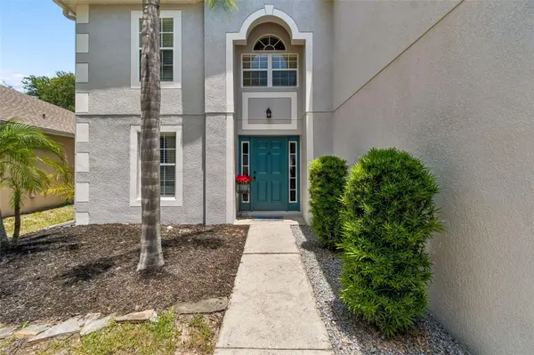 3216 BELLERICAY LN, Land O Lakes, FL 34638