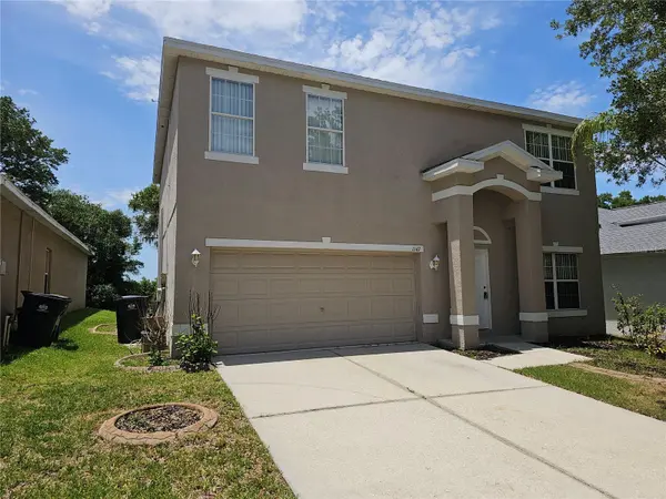 1147 EMERALD HILL WAY, Valrico, FL 33594