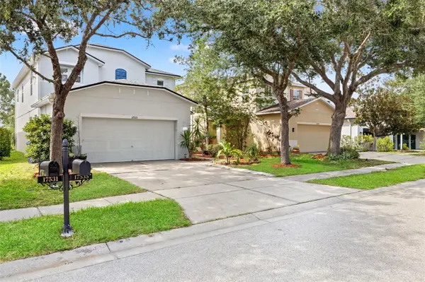 17535 BALMAHA DR, Land O Lakes, FL 34638
