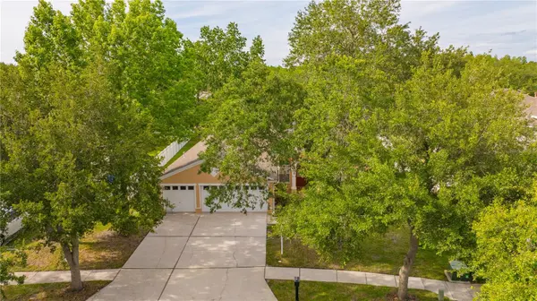 6028 CATLIN DR, Tampa, FL 33647