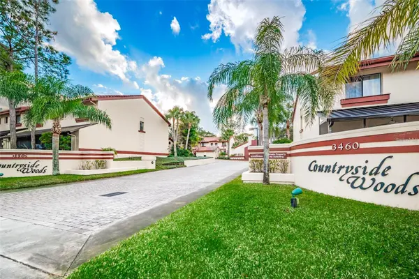 3460 COUNTRYSIDE #60 BLVD, Clearwater, FL 33761