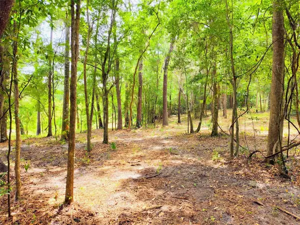 FITZHUGH AVE, Brooksville, FL 34601