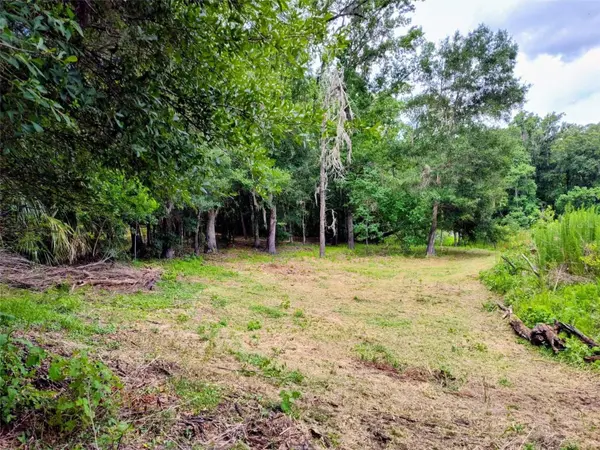 FITZHUGH AVE, Brooksville, FL 34601