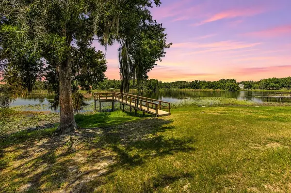 2459 SHOREWOOD LN, Land O Lakes, FL 34639