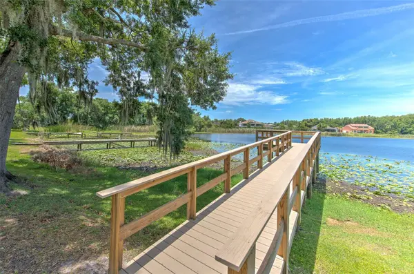 2459 SHOREWOOD LN, Land O Lakes, FL 34639