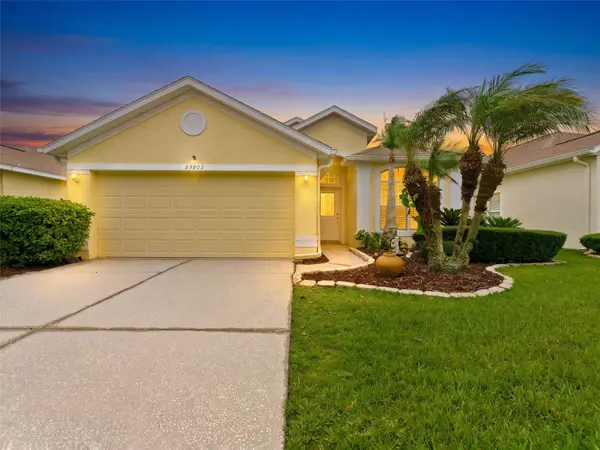 23802 CORAL RIDGE LN, Land O Lakes, FL 34639